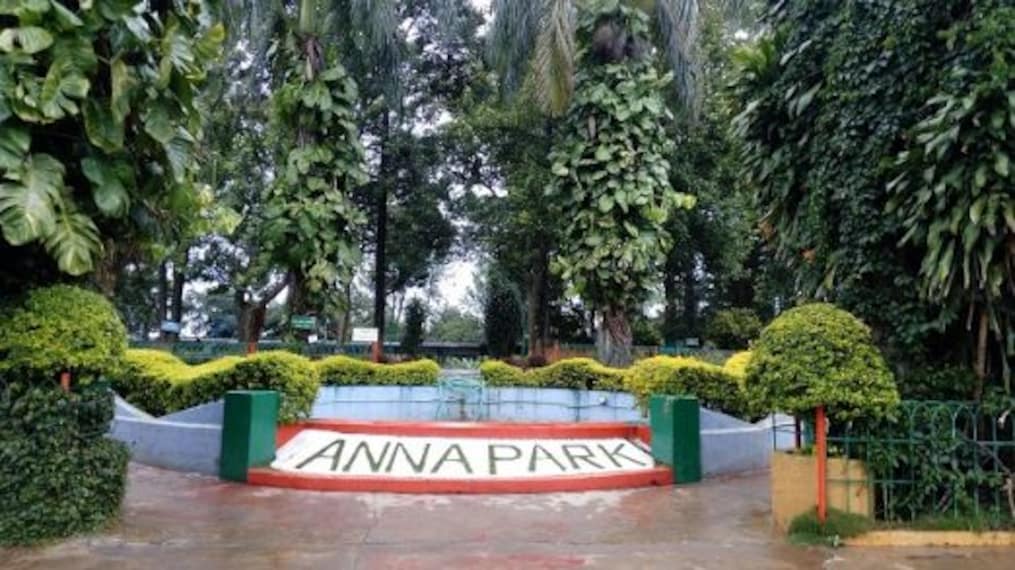 Anna Park-1